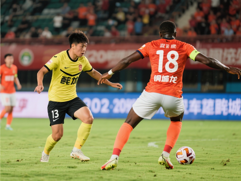 每一届欧洲 每一届欧洲